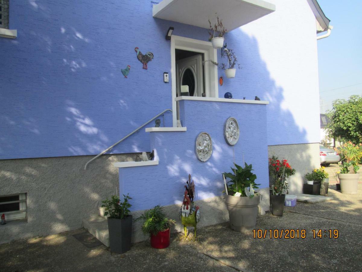 Gite Du Coq Lingolsheim Exterior photo